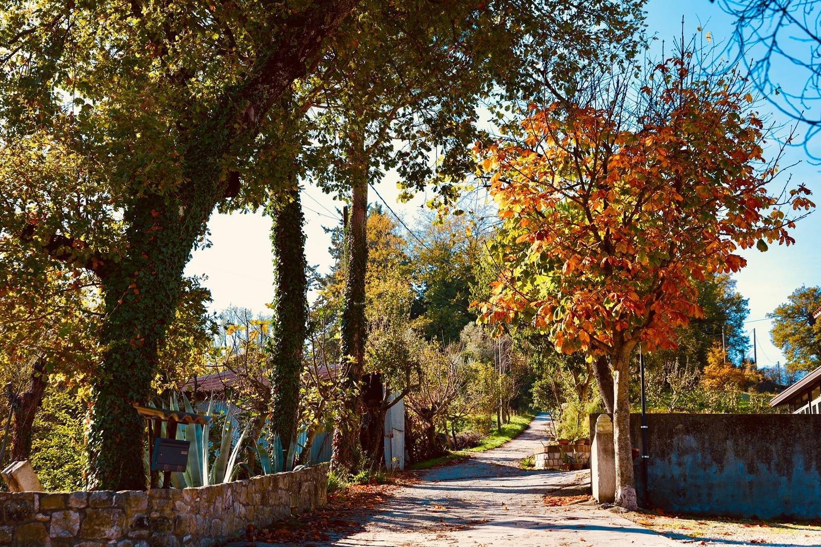 Foto di Trattoria da Michele